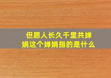 但愿人长久千里共婵娟这个婵娟指的是什么