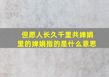 但愿人长久千里共婵娟里的婵娟指的是什么意思