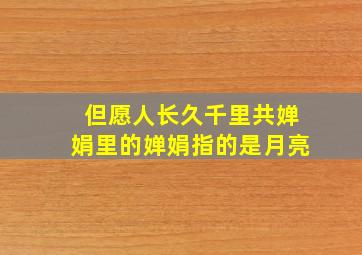 但愿人长久千里共婵娟里的婵娟指的是月亮