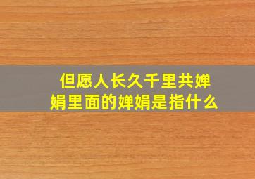 但愿人长久千里共婵娟里面的婵娟是指什么