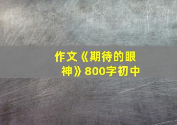 作文《期待的眼神》800字初中