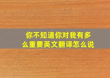 你不知道你对我有多么重要英文翻译怎么说