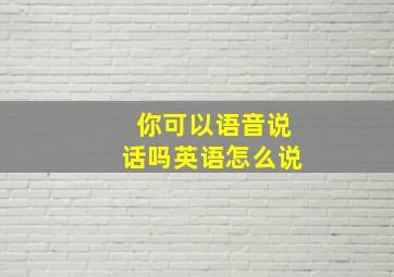 你可以语音说话吗英语怎么说