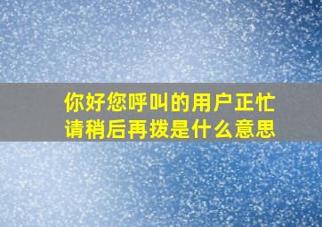 你好您呼叫的用户正忙请稍后再拨是什么意思