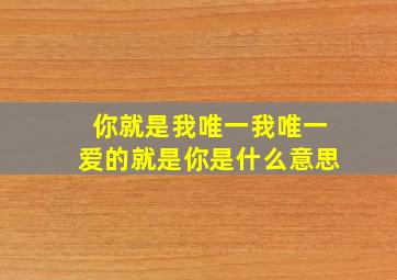 你就是我唯一我唯一爱的就是你是什么意思