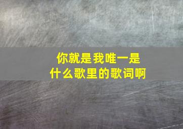 你就是我唯一是什么歌里的歌词啊