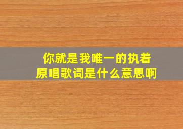 你就是我唯一的执着原唱歌词是什么意思啊