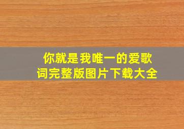 你就是我唯一的爱歌词完整版图片下载大全