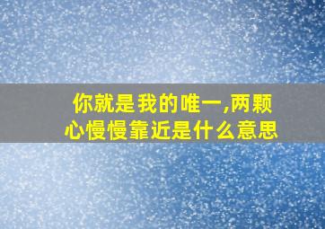 你就是我的唯一,两颗心慢慢靠近是什么意思