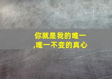 你就是我的唯一,唯一不变的真心