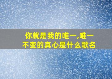 你就是我的唯一,唯一不变的真心是什么歌名