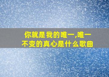 你就是我的唯一,唯一不变的真心是什么歌曲