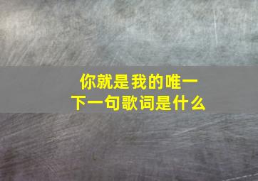 你就是我的唯一下一句歌词是什么