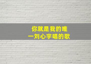 你就是我的唯一刘心宇唱的歌