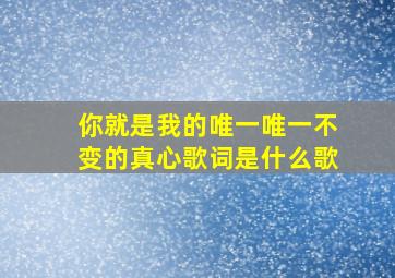 你就是我的唯一唯一不变的真心歌词是什么歌