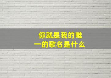 你就是我的唯一的歌名是什么