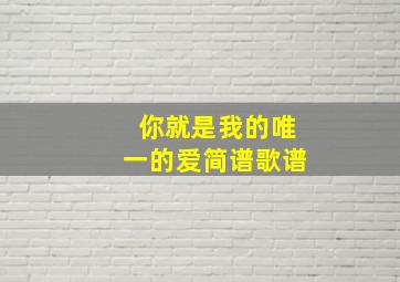 你就是我的唯一的爱简谱歌谱