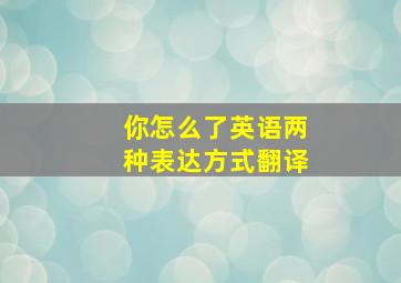 你怎么了英语两种表达方式翻译