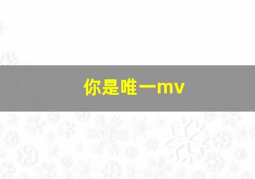 你是唯一mv