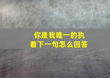 你是我唯一的执着下一句怎么回答