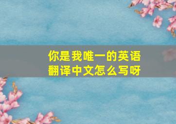 你是我唯一的英语翻译中文怎么写呀