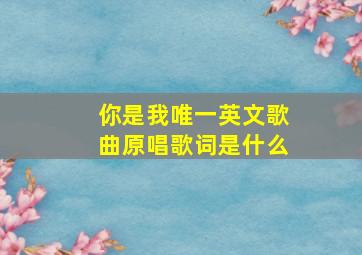 你是我唯一英文歌曲原唱歌词是什么