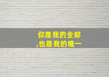 你是我的全部,也是我的唯一