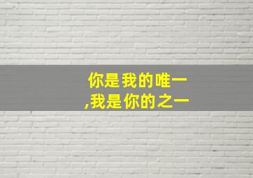 你是我的唯一,我是你的之一