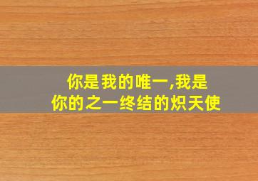 你是我的唯一,我是你的之一终结的炽天使