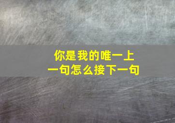 你是我的唯一上一句怎么接下一句