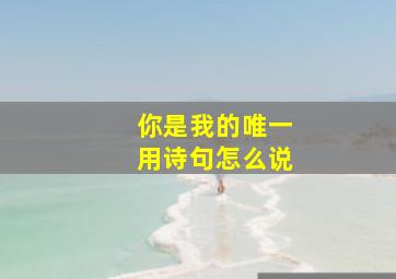 你是我的唯一用诗句怎么说