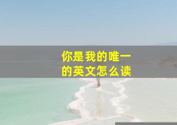 你是我的唯一的英文怎么读