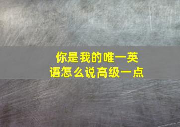 你是我的唯一英语怎么说高级一点