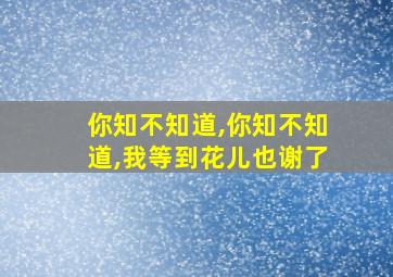 你知不知道,你知不知道,我等到花儿也谢了