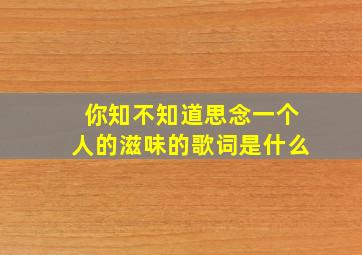 你知不知道思念一个人的滋味的歌词是什么