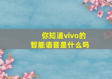 你知道vivo的智能语音是什么吗