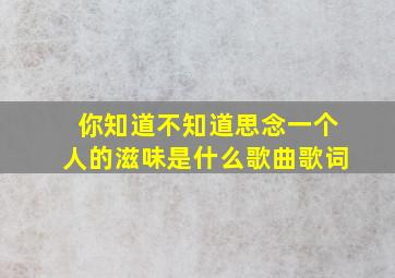 你知道不知道思念一个人的滋味是什么歌曲歌词