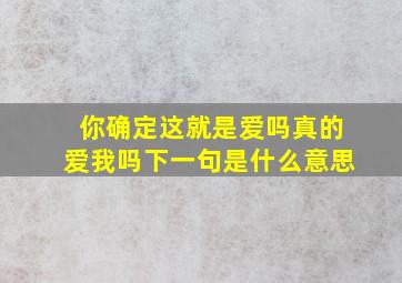 你确定这就是爱吗真的爱我吗下一句是什么意思