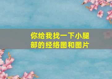 你给我找一下小腿部的经络图和图片