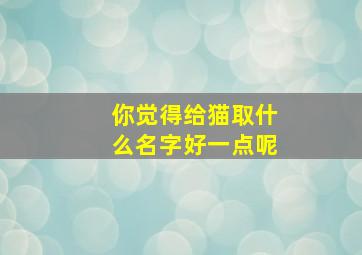 你觉得给猫取什么名字好一点呢