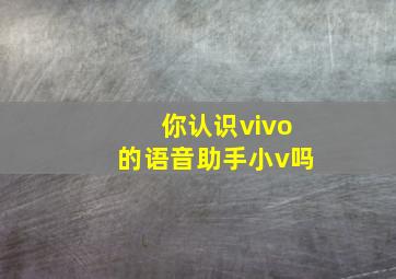 你认识vivo的语音助手小v吗