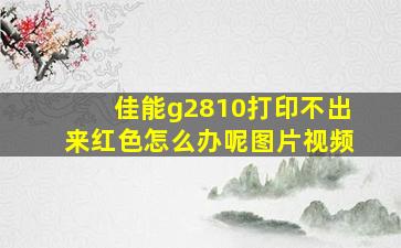 佳能g2810打印不出来红色怎么办呢图片视频