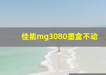 佳能mg3080墨盒不动