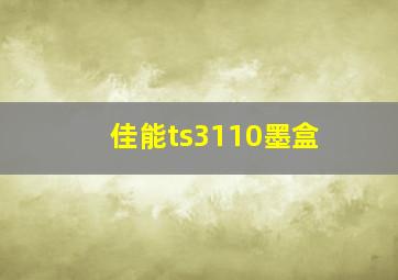 佳能ts3110墨盒