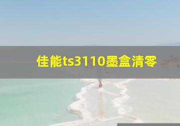 佳能ts3110墨盒清零