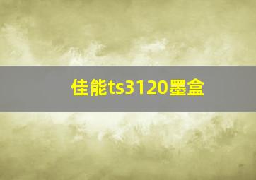 佳能ts3120墨盒