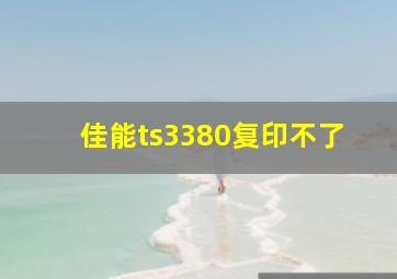 佳能ts3380复印不了