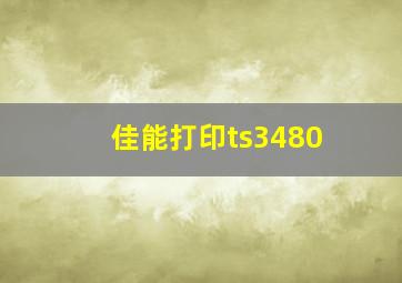 佳能打印ts3480