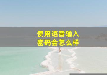 使用语音输入密码会怎么样