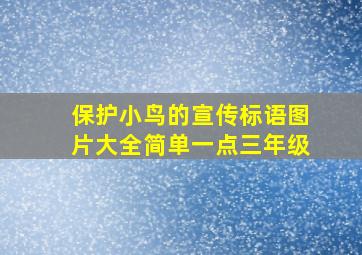 保护小鸟的宣传标语图片大全简单一点三年级